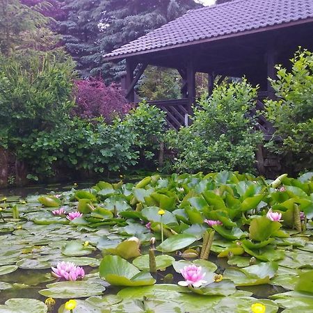 Dankowska Dolina Villa ภายนอก รูปภาพ