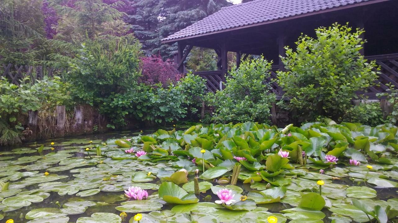 Dankowska Dolina Villa ภายนอก รูปภาพ
